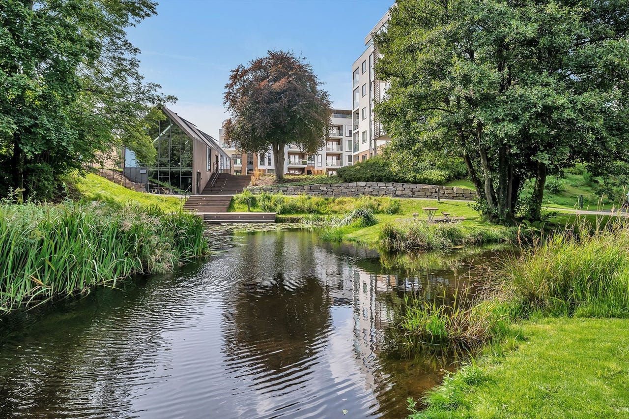 Nydelige omgivelser