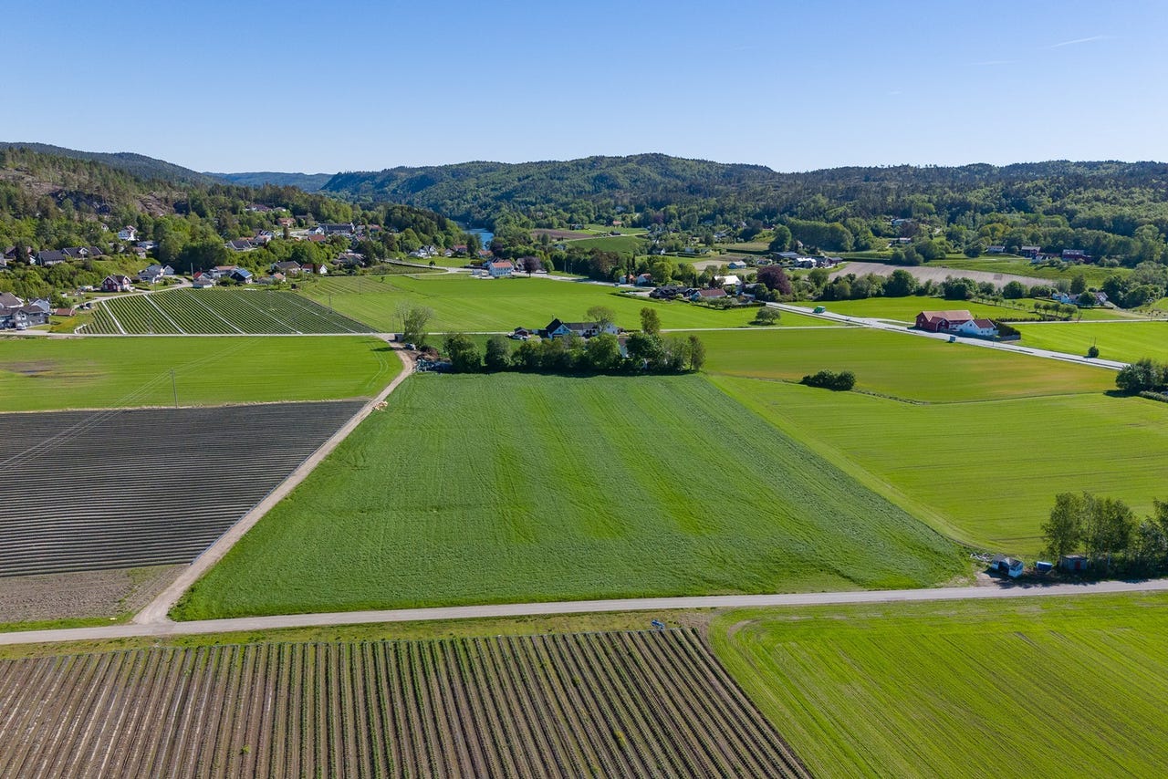 Etablert landbruk hvor naboer dyrker bl.a. jordbær, bringebær, epler og druer til vinproduksjon