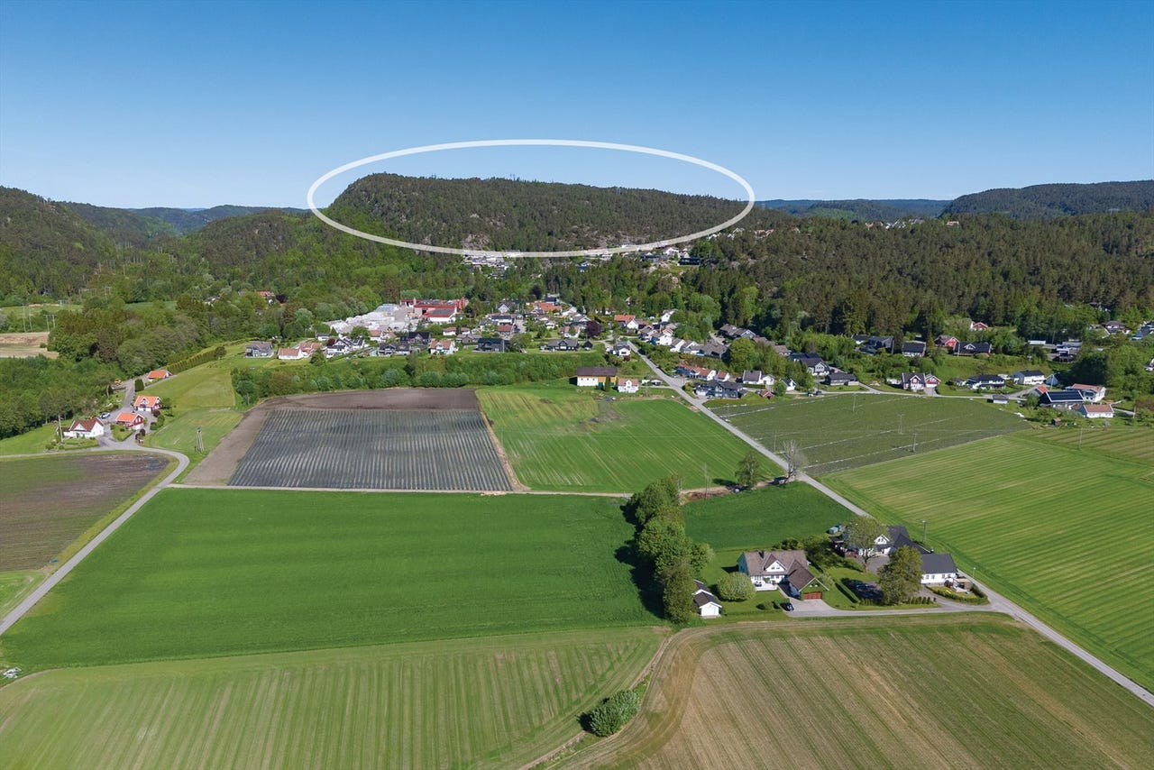 Jaktrett i 622 dekar egen skog som strekker seg fra Brattvollheia mot Farvannet