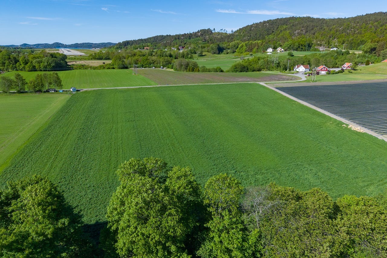 Arealet har vært benyttet til blant annet hestehold, gress- og jordbærproduksjon