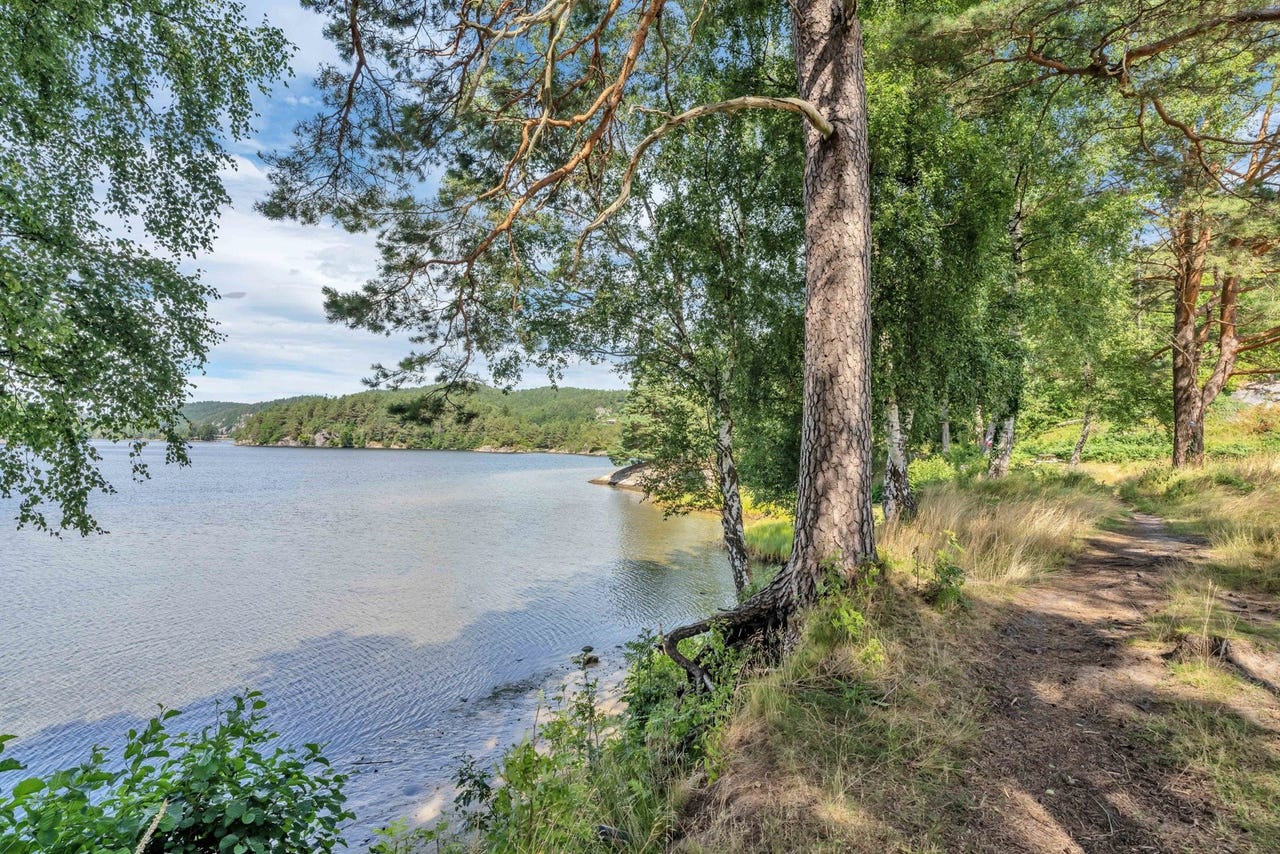 Flotte turområder rett i nærheten som Buråsheia langs Skogsfjorden og Furulunden med sine mange turstier og strender.