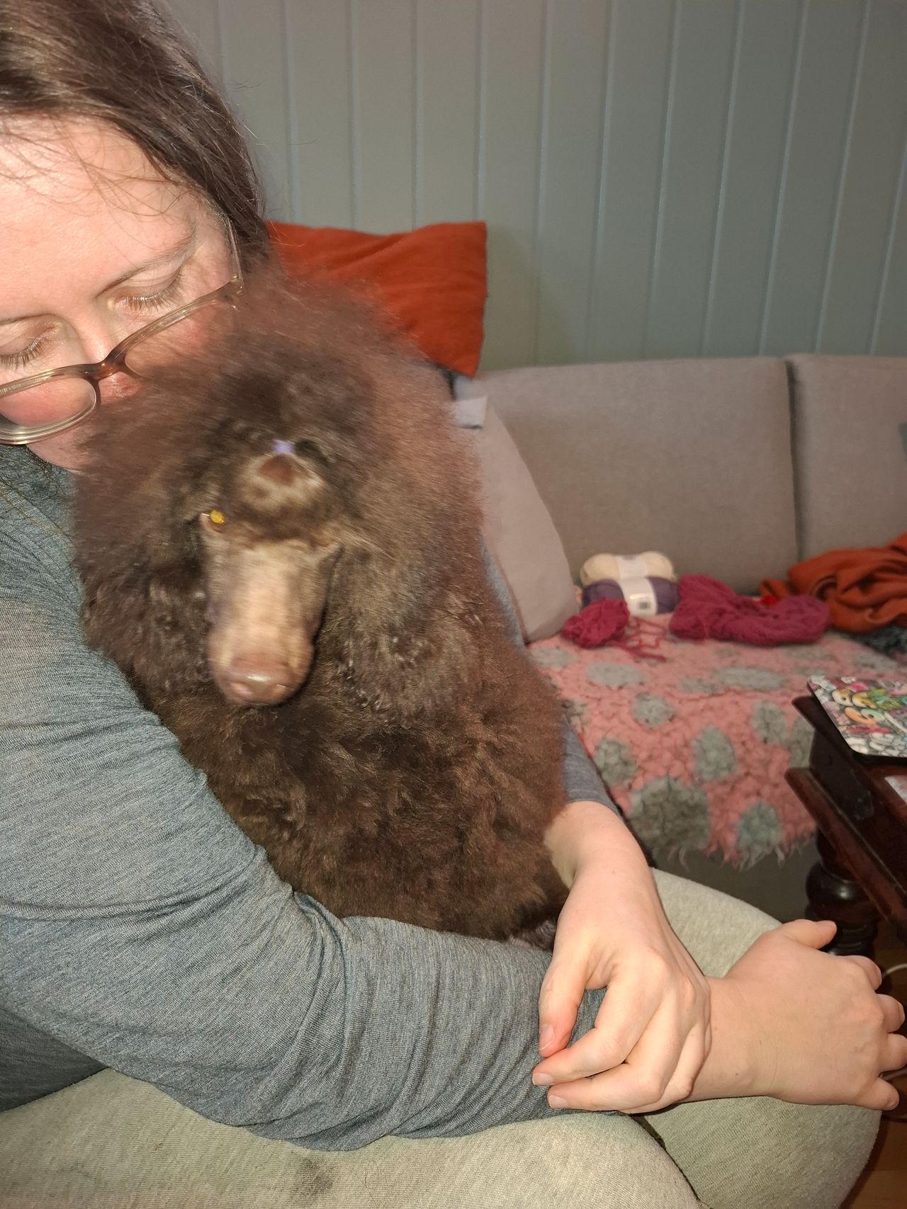 Dvergpuddel