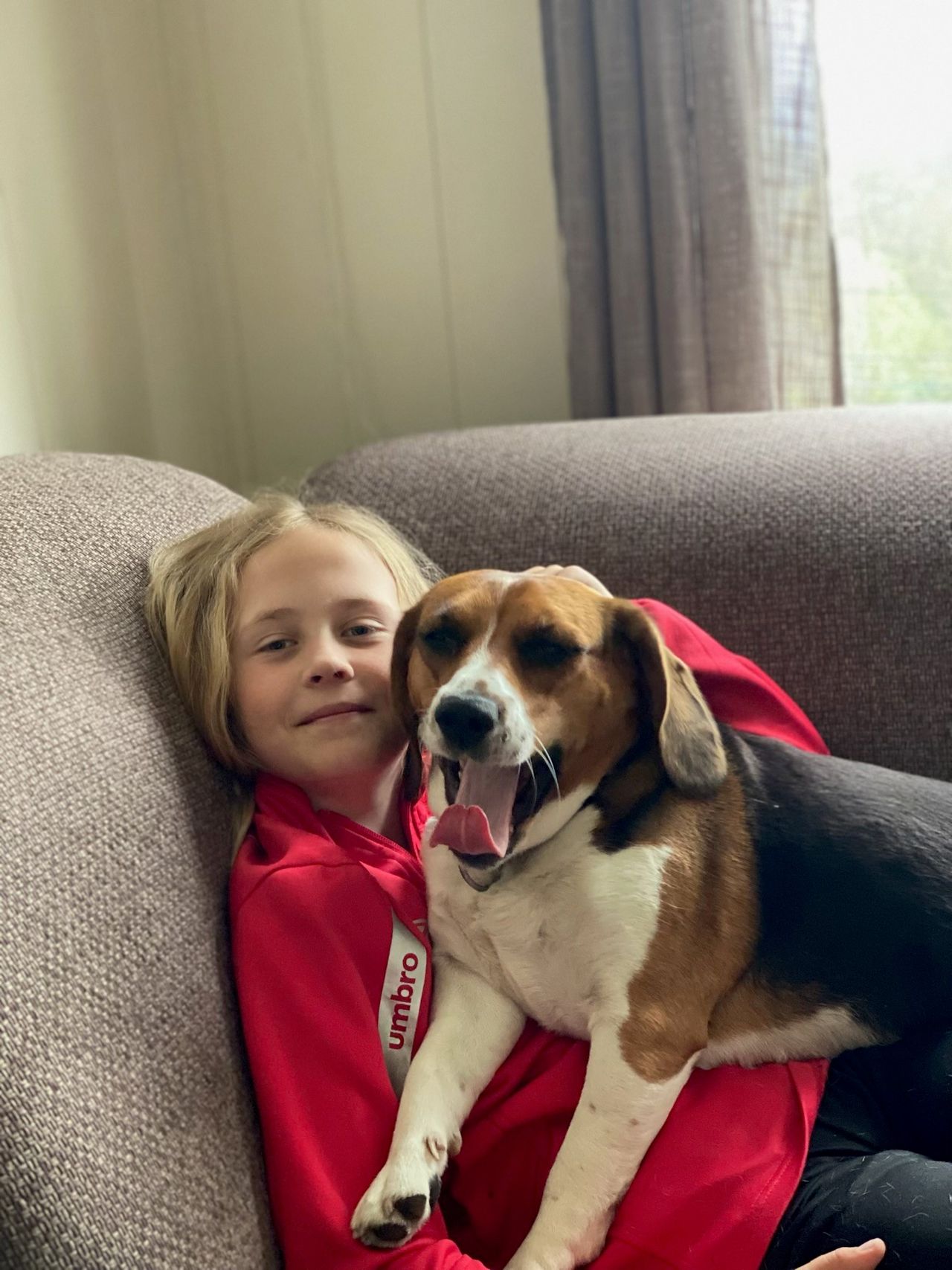 Beagle