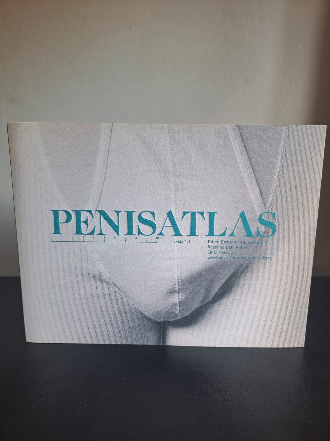 洋書 PENISATLAS PENISATLAS - メルカリ