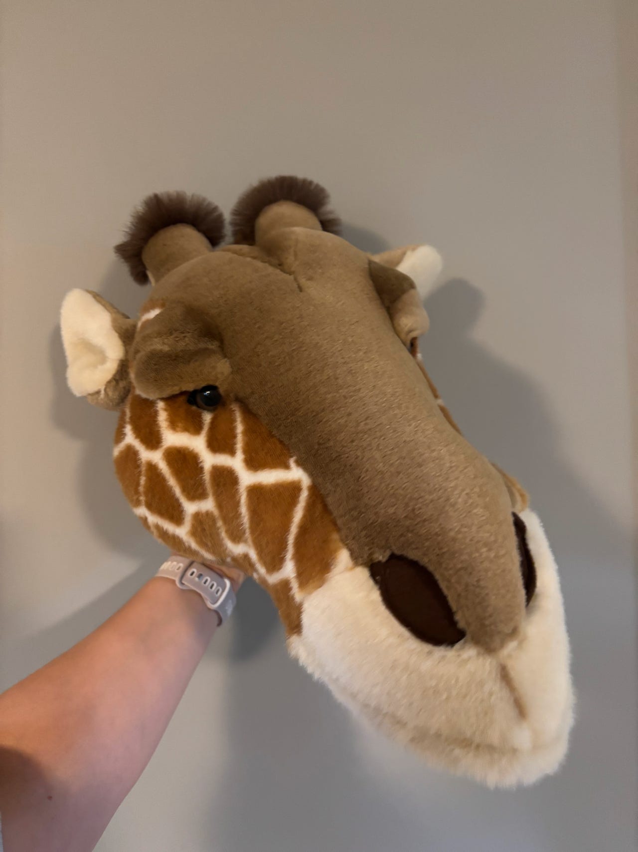 Brigbys dyrehode – giraff | FINN-torget