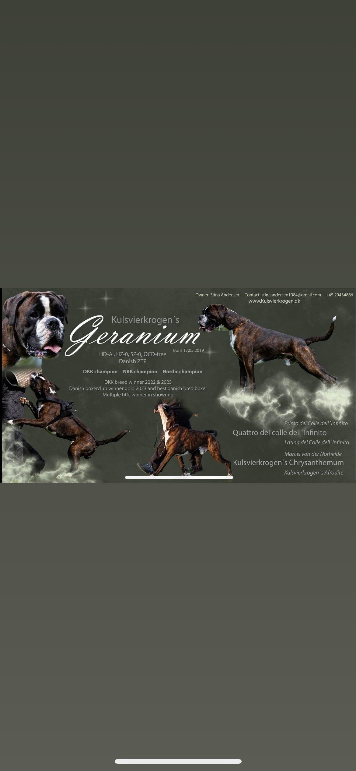 Boxer