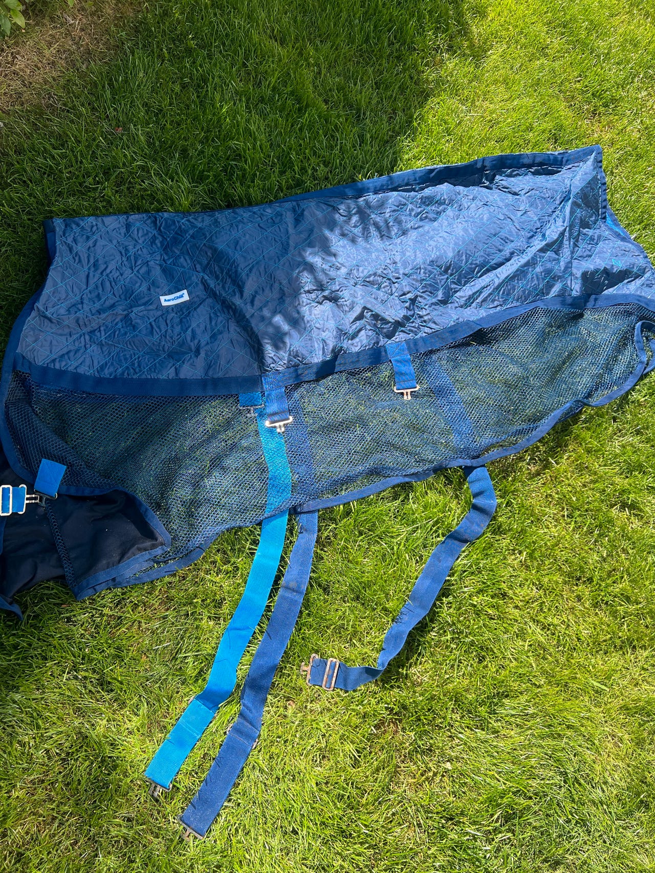 Aerochill cooling rug til hest | FINN-torget