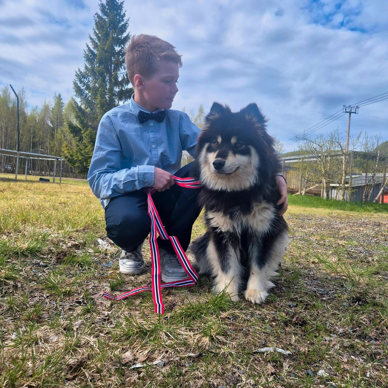 Finsk lapphund