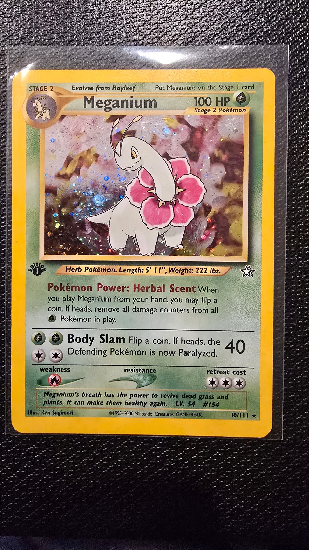 Meganium 1st Edition Holo. 10/111 Selges! | FINN-torget