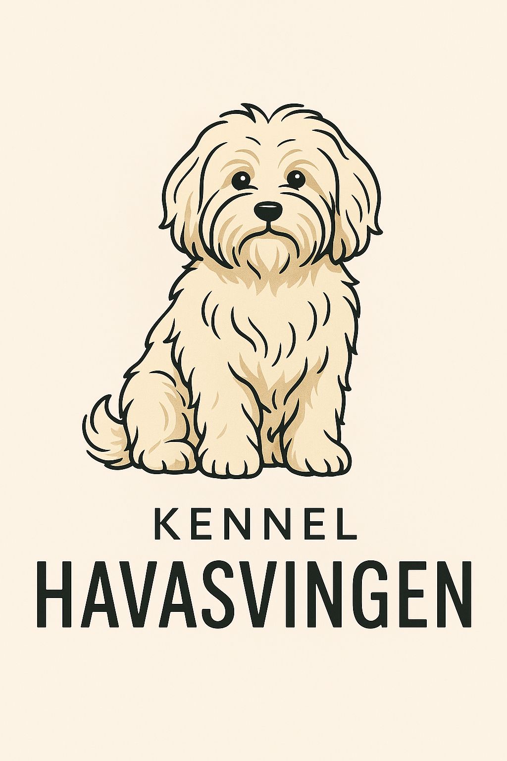 Bichon havanais