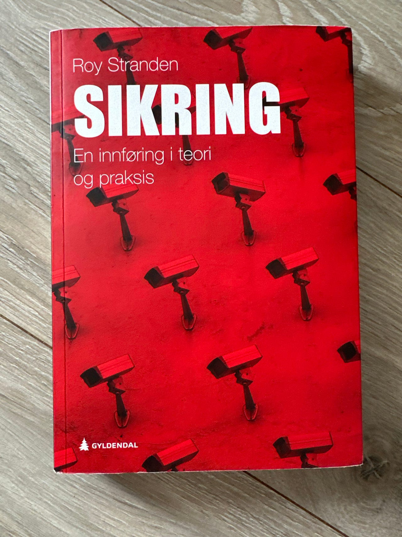 Sikring. En innføring i teori og praksis. Av Roy Stranden | FINN-torget