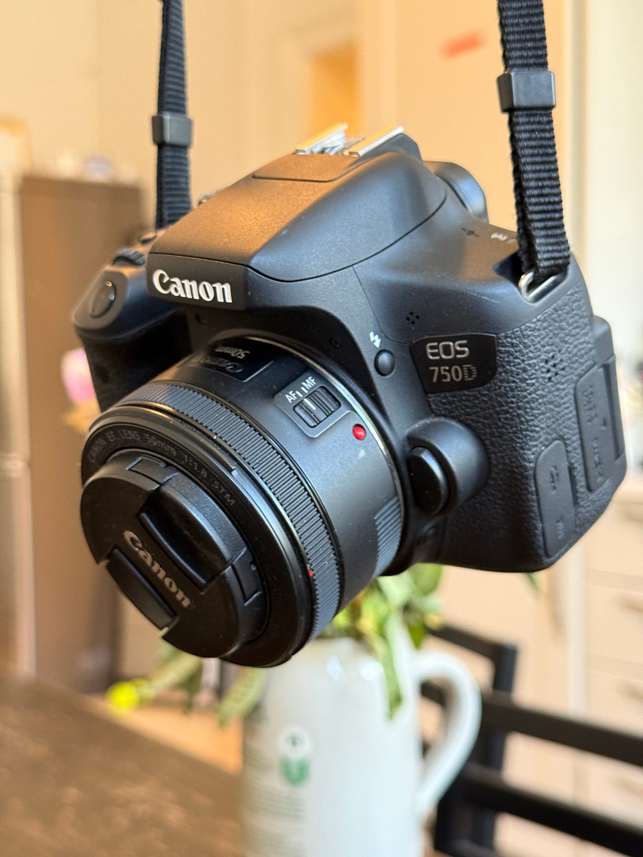 Canon EOS 750D // Canon EF 50mm STM // Tamron 18-270mm