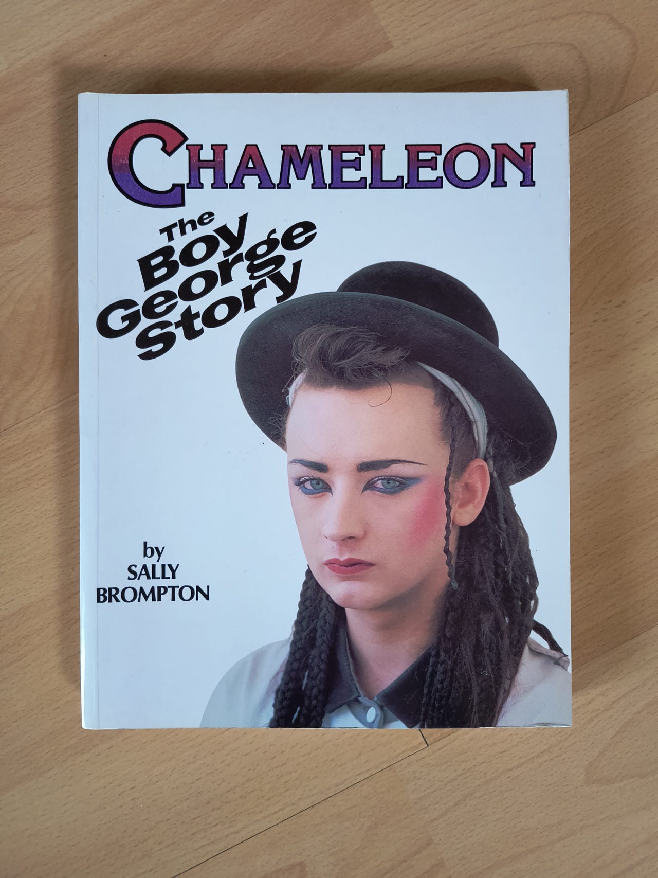 Sally Brompton Chameleon The Boy Story Bok