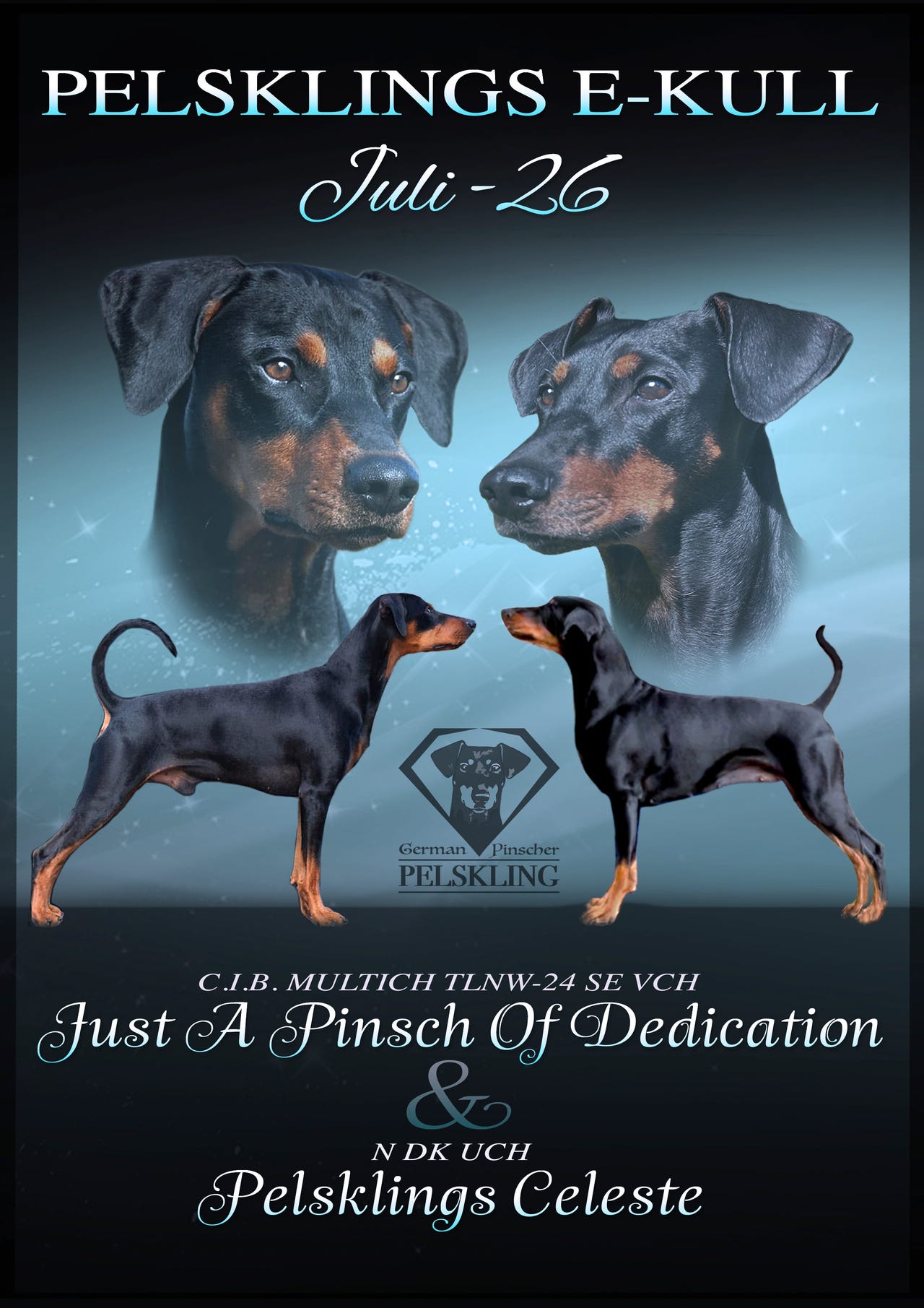 Pinscher