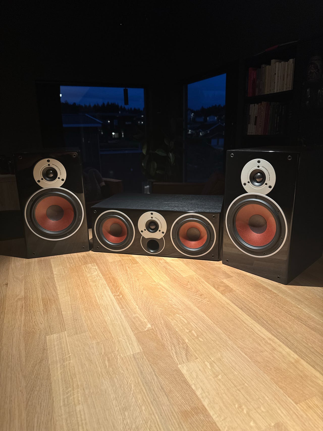 Dali zensor vokal, Dali zensor FINN-torget