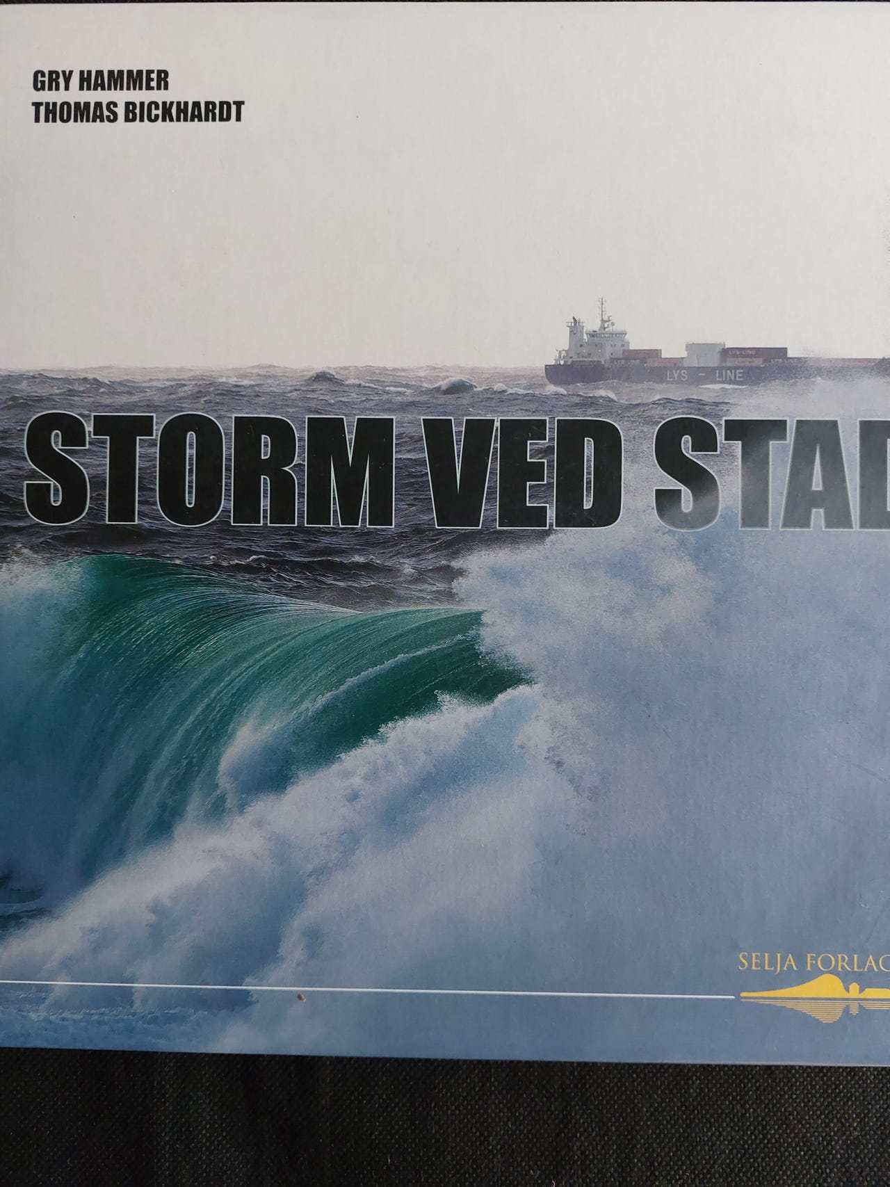 Storm ved Stad av Gry Hammer | FINN-torget