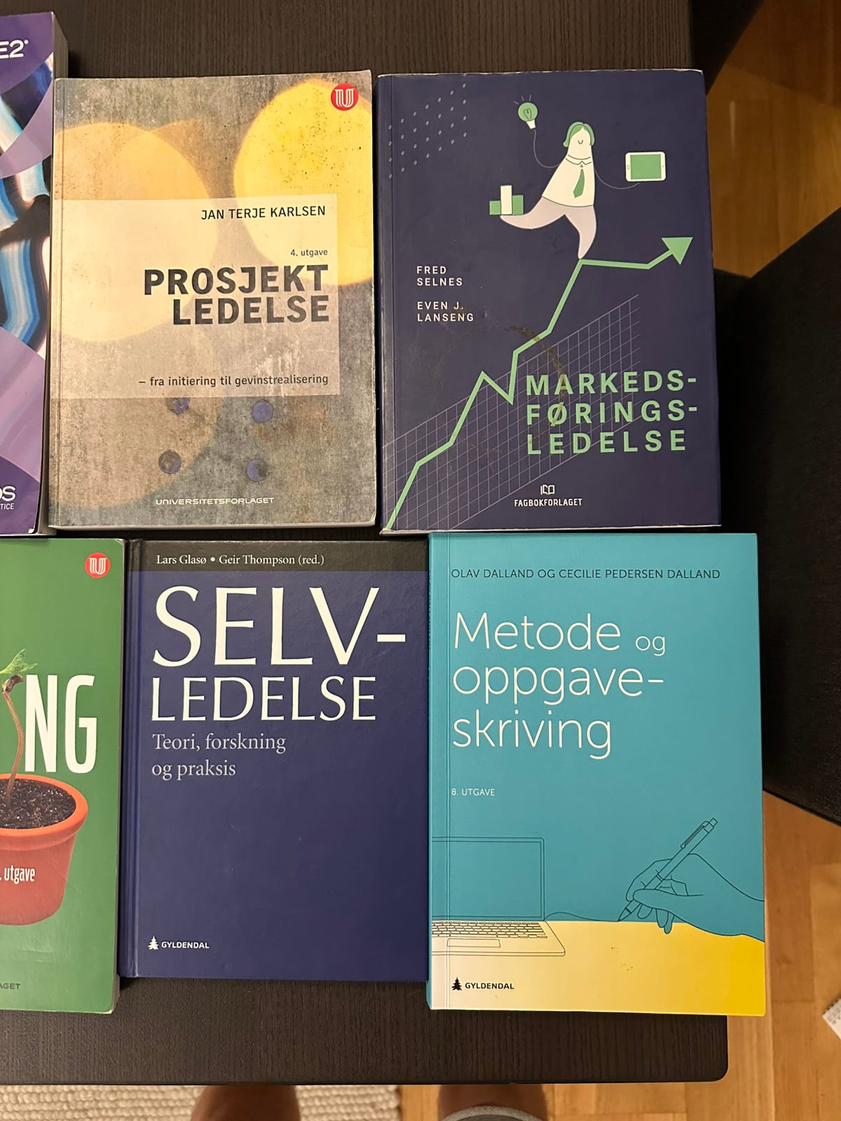Pensumbøker fra BI – Økonomi og administrasjon (billig) (22 bøker ...