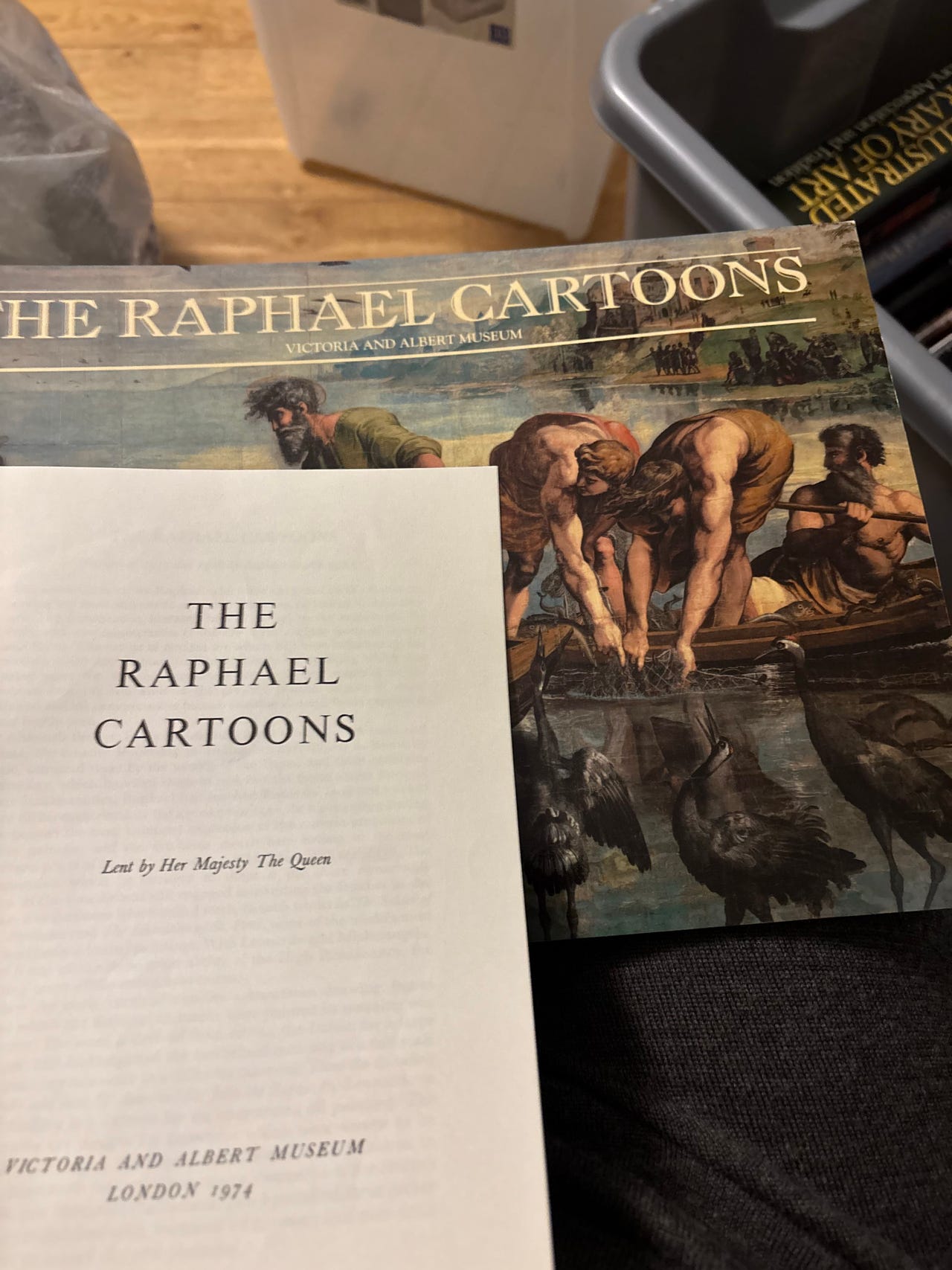The Raphael Cartoons Bok | FINN-torget