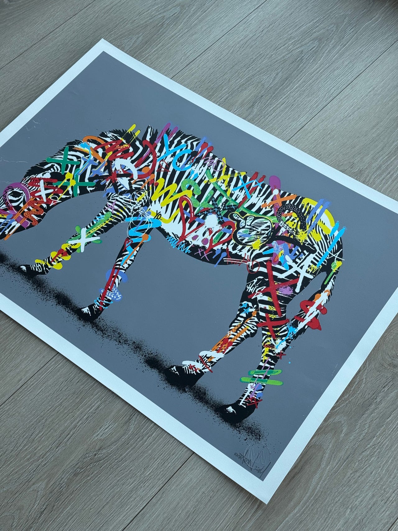 Martin Whatson Zebra | FINN-torget