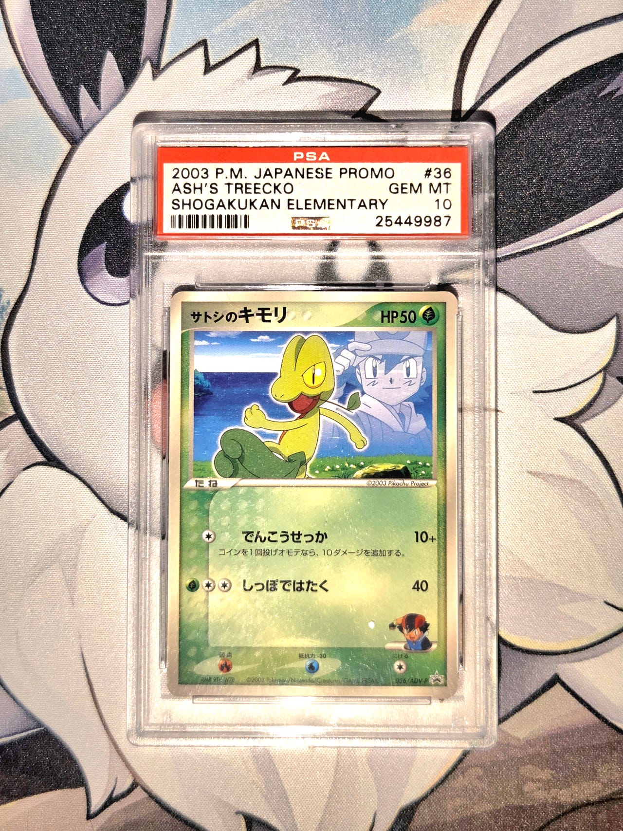 PSA 10 Ash