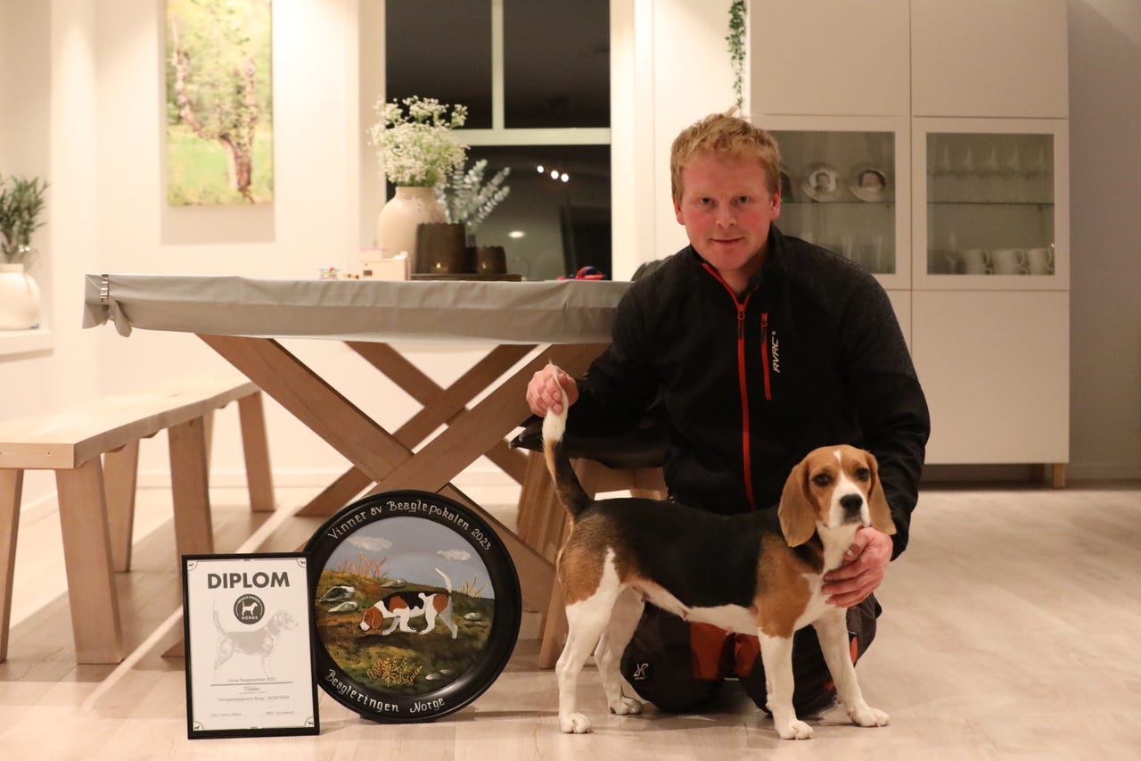 Beagle