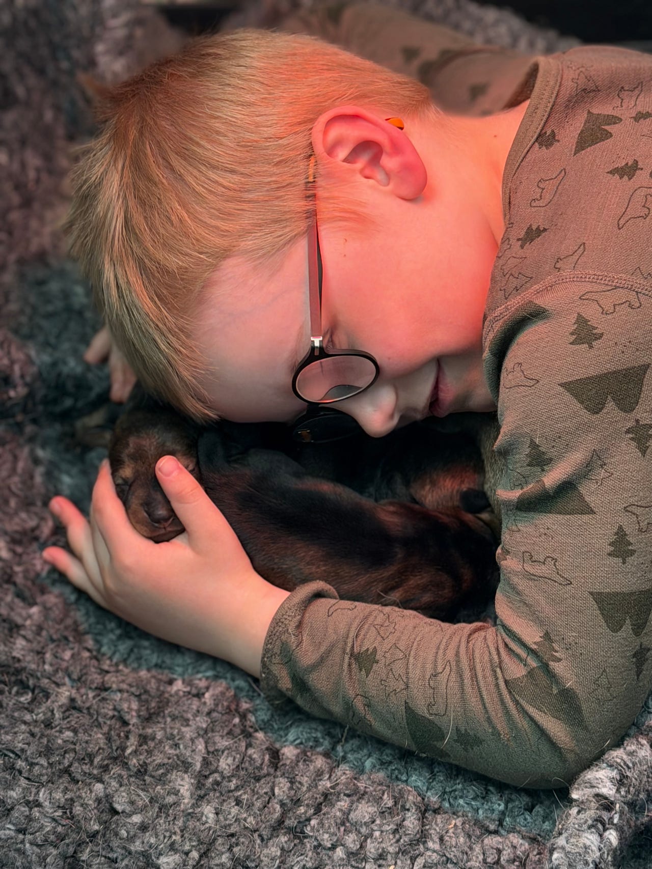 Dachshund strihåret