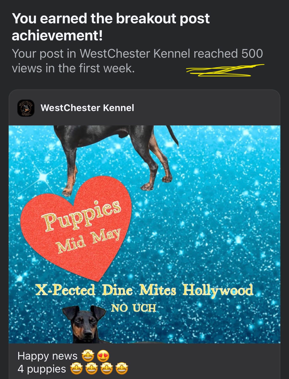 Manchester terrier