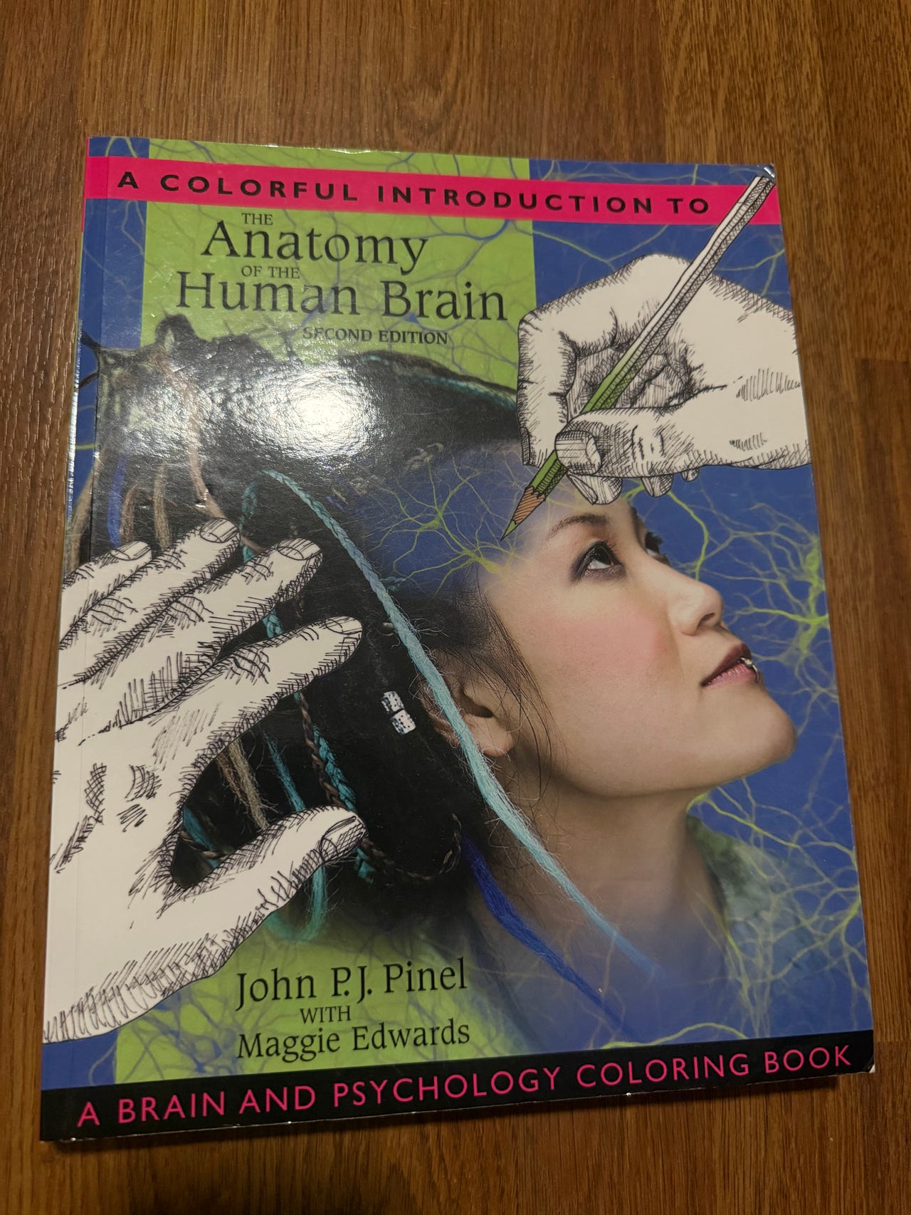 A colorful introduction to the anatomy of the human brain - 2nd
