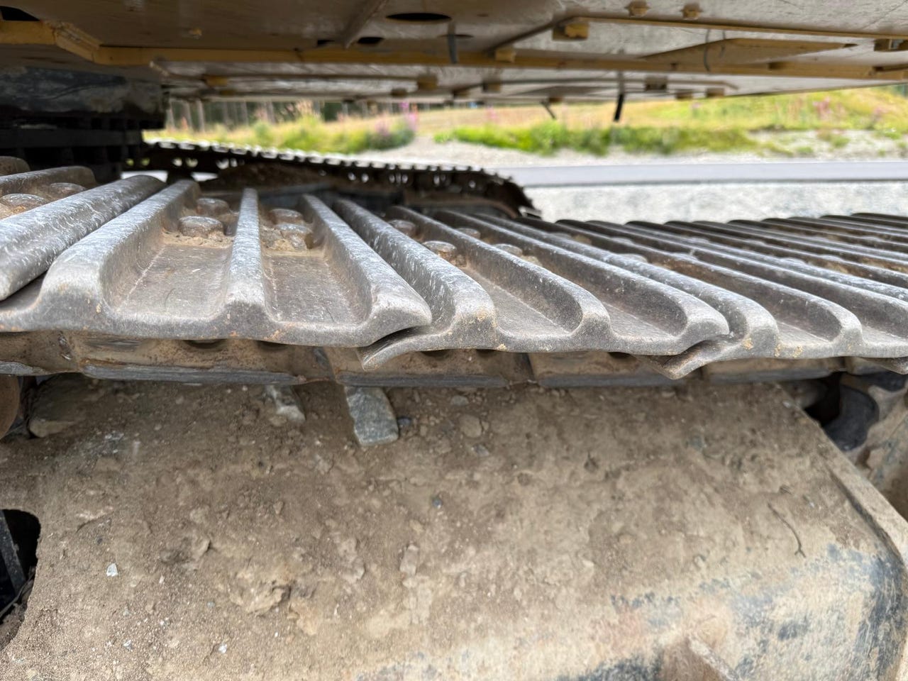 Cat 326 – bilde 10 av 26