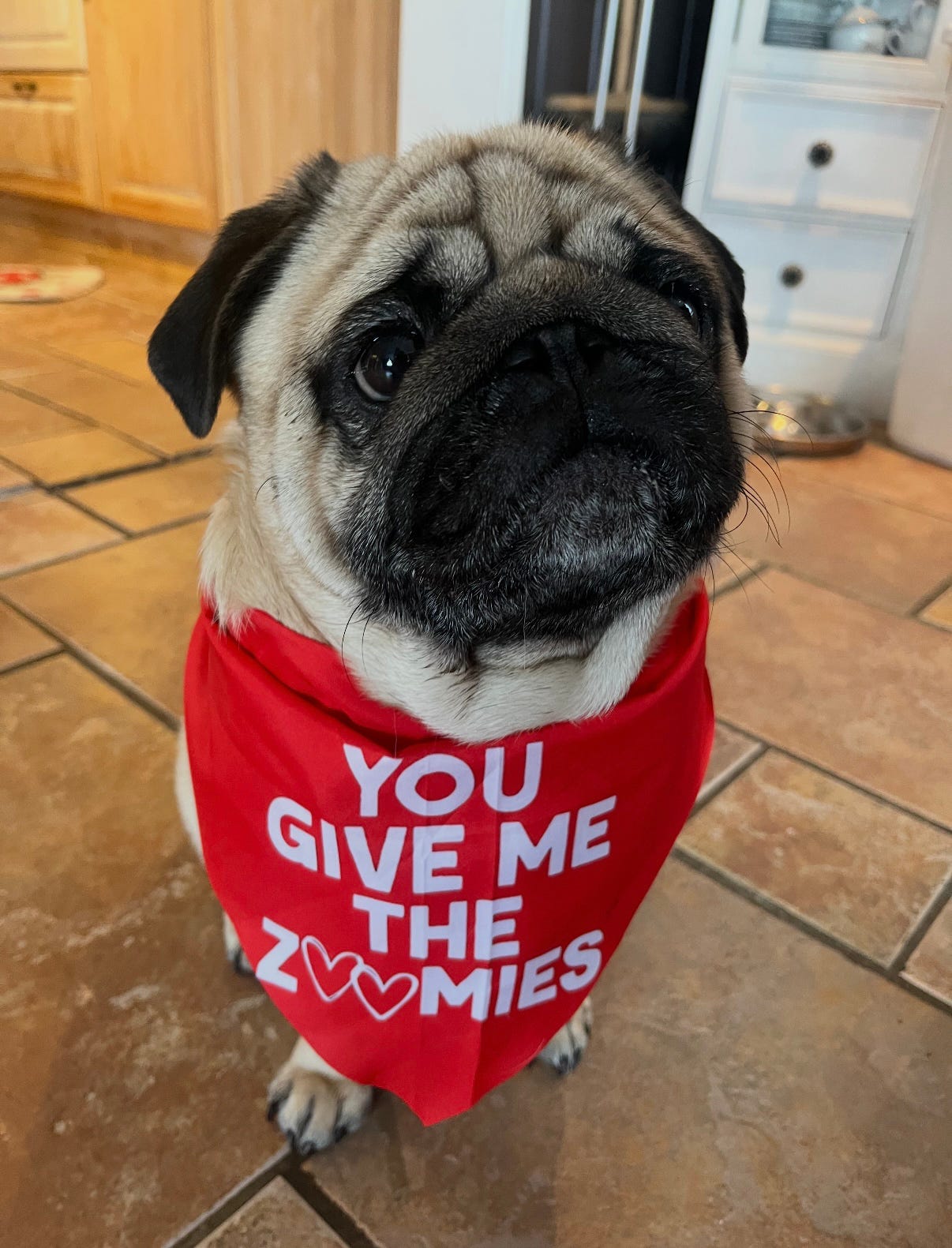 Mops