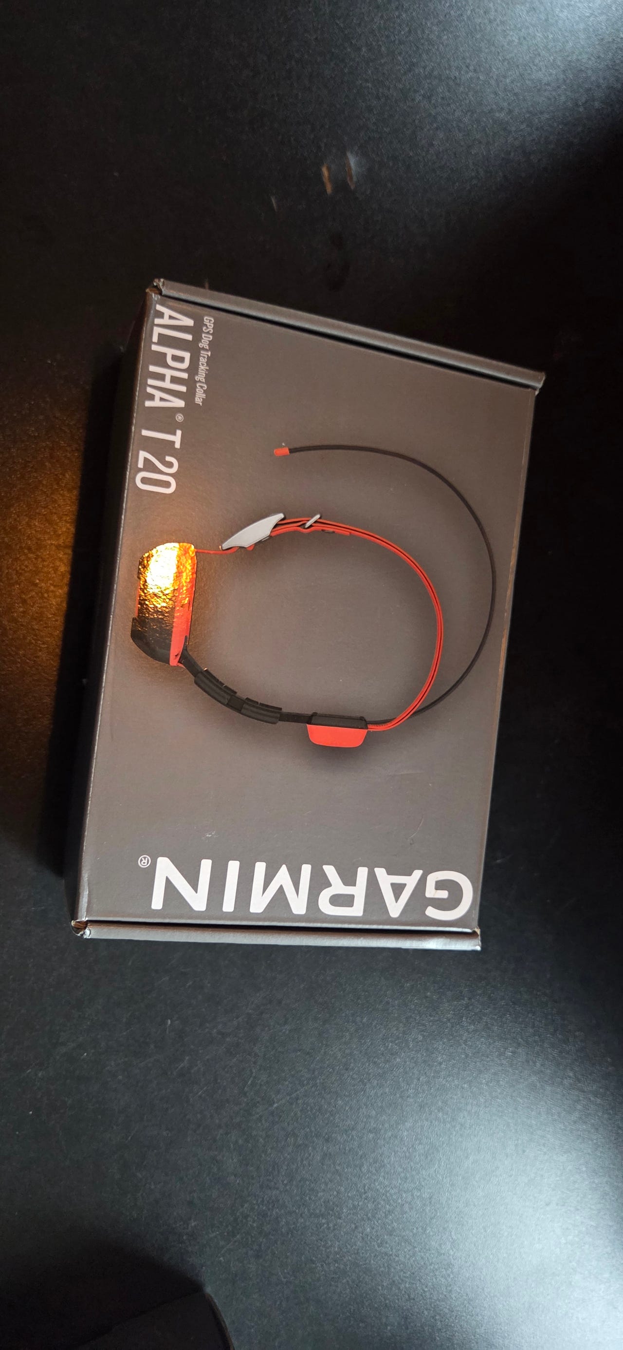 Garmin Alpha T20 GPS collar
