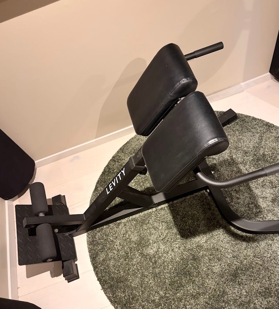 Roman Chair / Back Extension Bench for sale