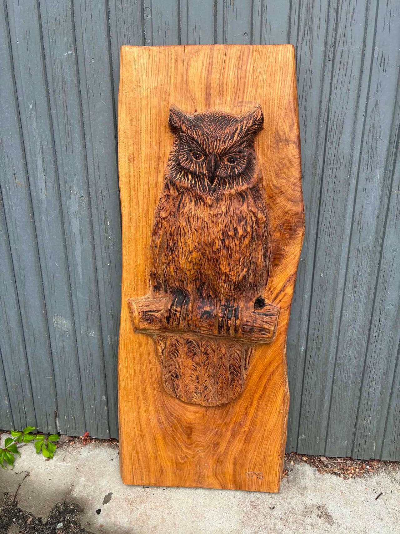 Bilde av ugle på eikeplank.