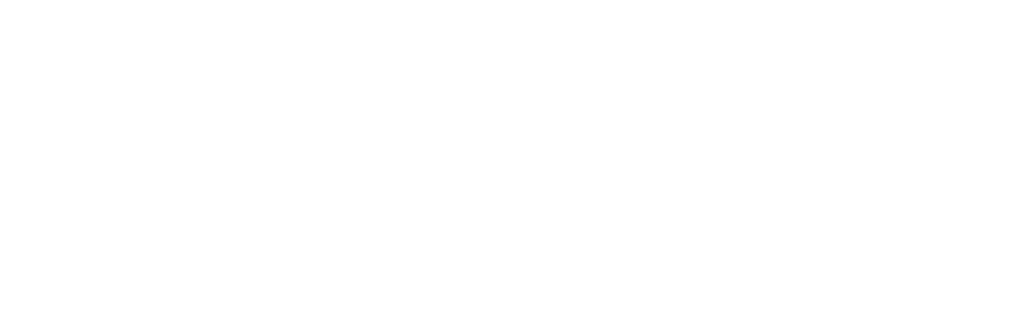 Logo for Fjord & Partners.