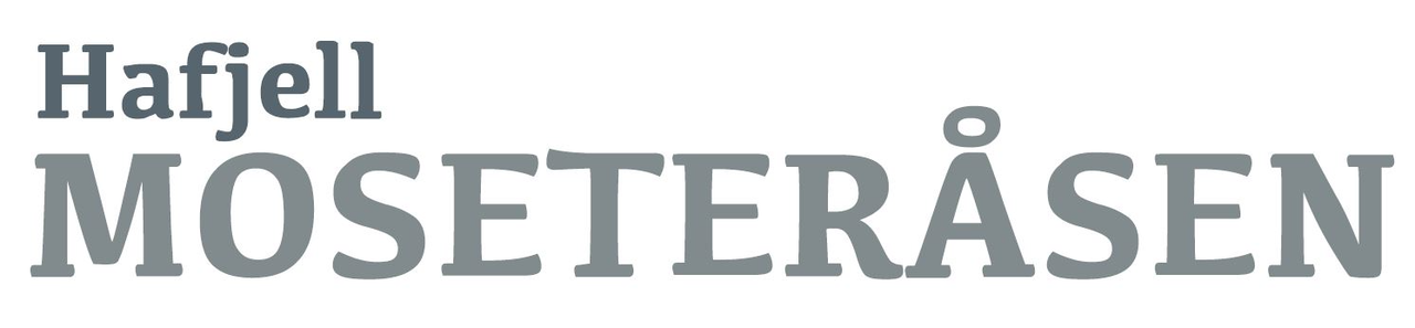 Megler logo