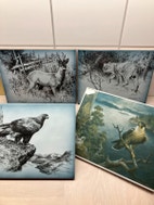 Miniatyrgalleribilde