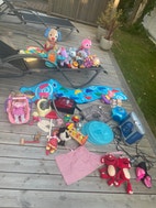 Miniatyrgalleribilde