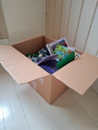 Miniatyrgalleribilde