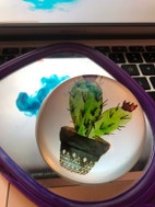 Miniatyrgalleribilde