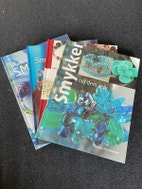 Miniatyrgalleribilde