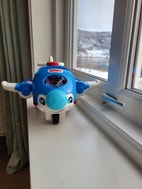 Miniatyrgalleribilde