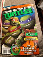 Miniatyrgalleribilde