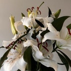 Bilde av megler Tina