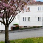 Bilde av megler LSH AS