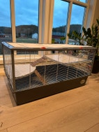 Miniatyrgalleribilde