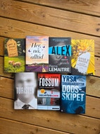 Miniatyrgalleribilde