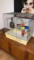 Miniatyrgalleribilde