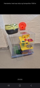 Miniatyrgalleribilde