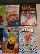 Miniatyrgalleribilde