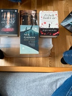 Miniatyrgalleribilde